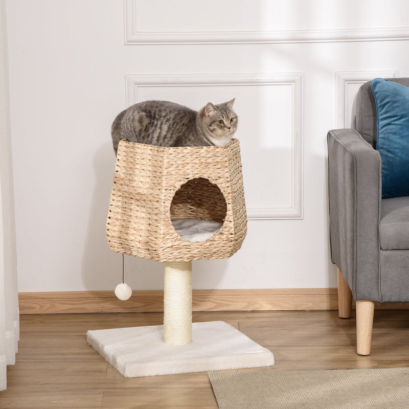 Cat climbing furniture hotsell