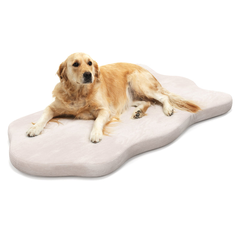 Cama grande para perros con soporte de espuma viscoelástica y funda extraíble, color beige