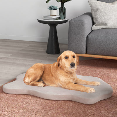 Cama grande para perros con soporte de espuma viscoelástica y funda extraíble, color beige