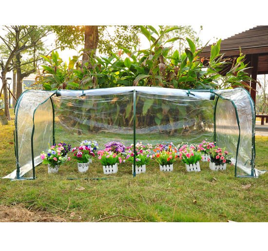 200Lx100Wx80H cm. PVC Greenhouse Tunnel - Transparent