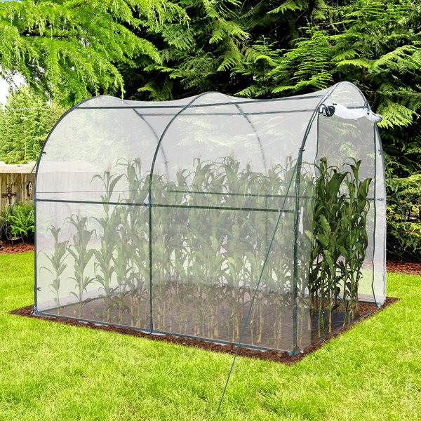 Walk In Transparent Greenhouse, Steel Frame