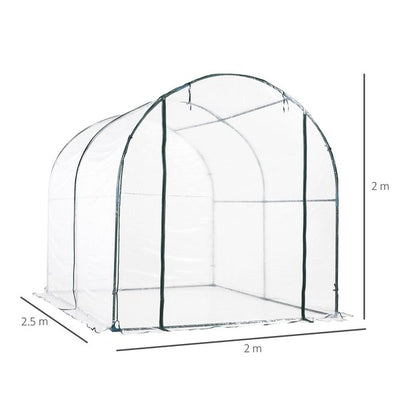 Walk In Transparent Greenhouse, Steel Frame