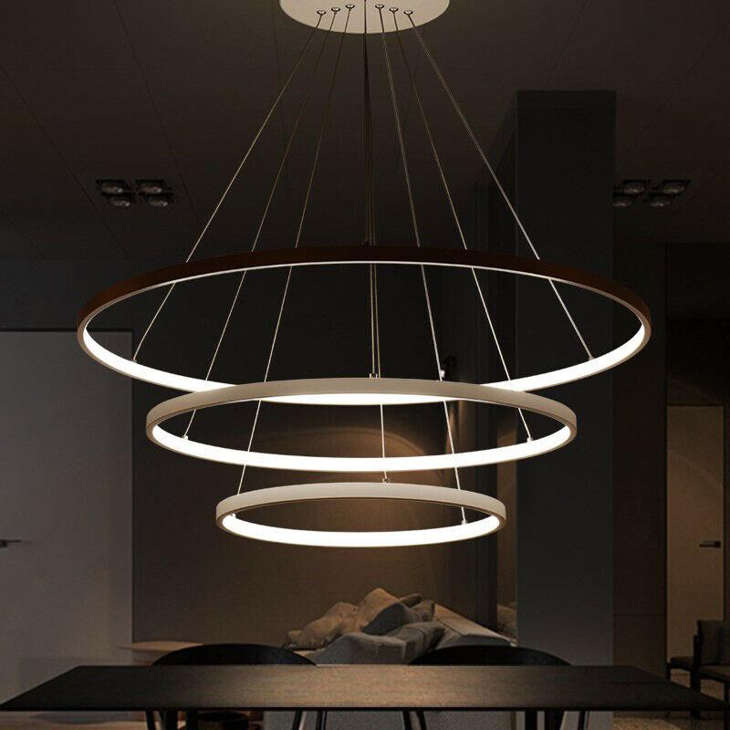 Hanging Pendant Lamp Ring Ceiling Light