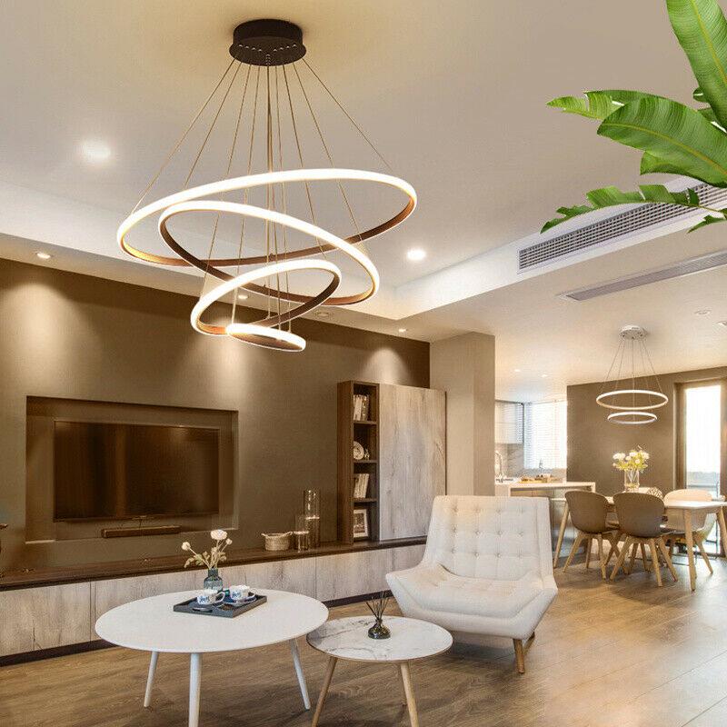 Hanging Pendant Lamp Ring Ceiling Light