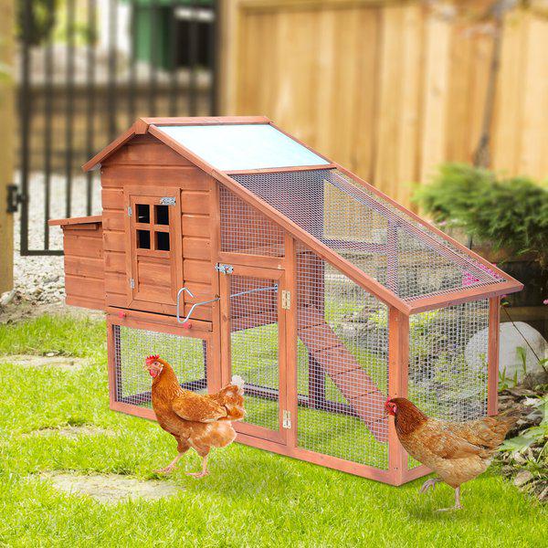 Wooden Chicken Coop With Nesting Box House - Orange