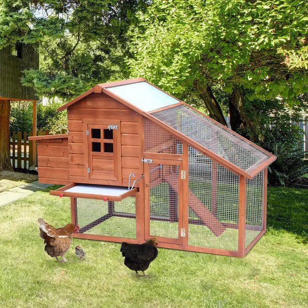 Wooden Chicken Coop With Nesting Box House - Orange