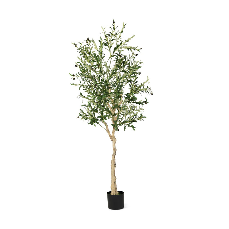 Olivo artificial de 182 cm con 72 frutos (paquete de 1)