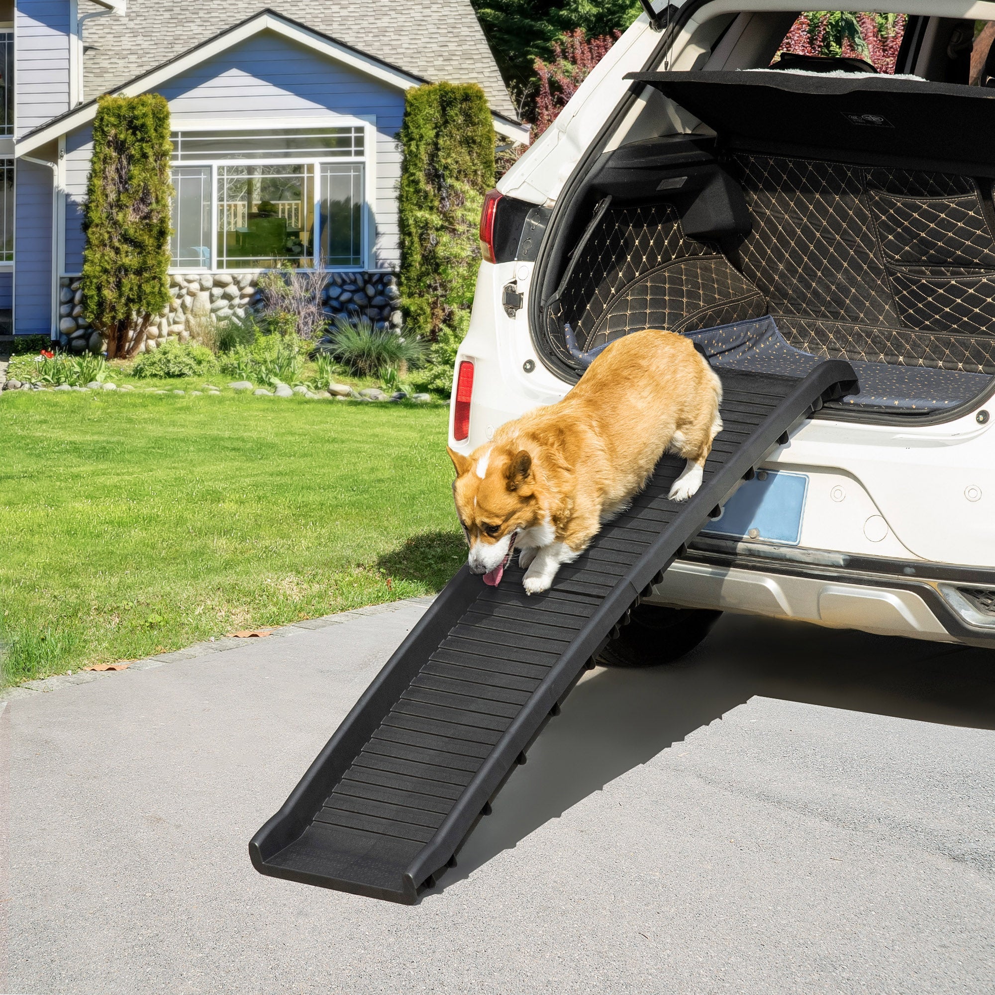 Auto dog clearance ramp