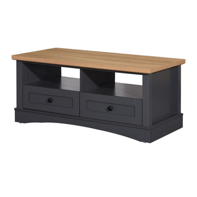 Carden Coffee Table with 2 Drawers in Grey