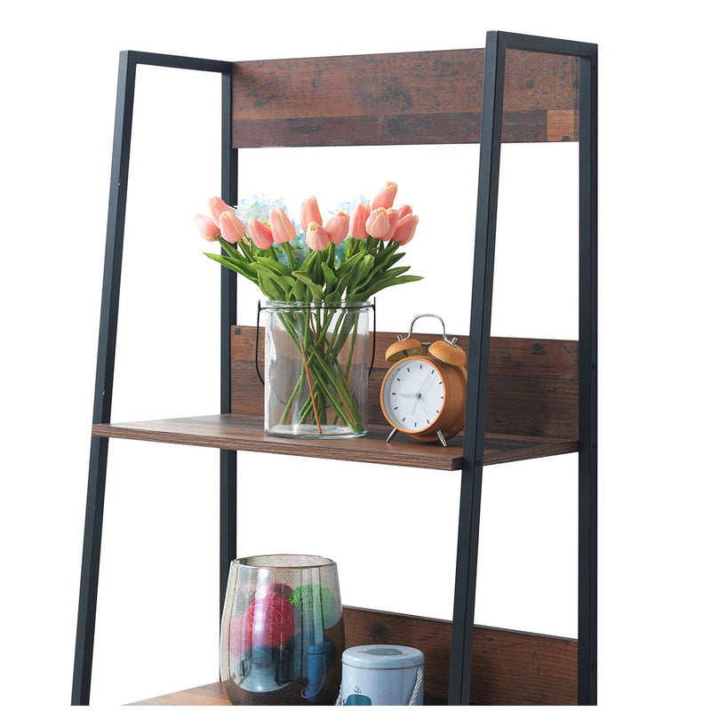 Abbey Ladder Bookcase Shelf with 4 Shelves